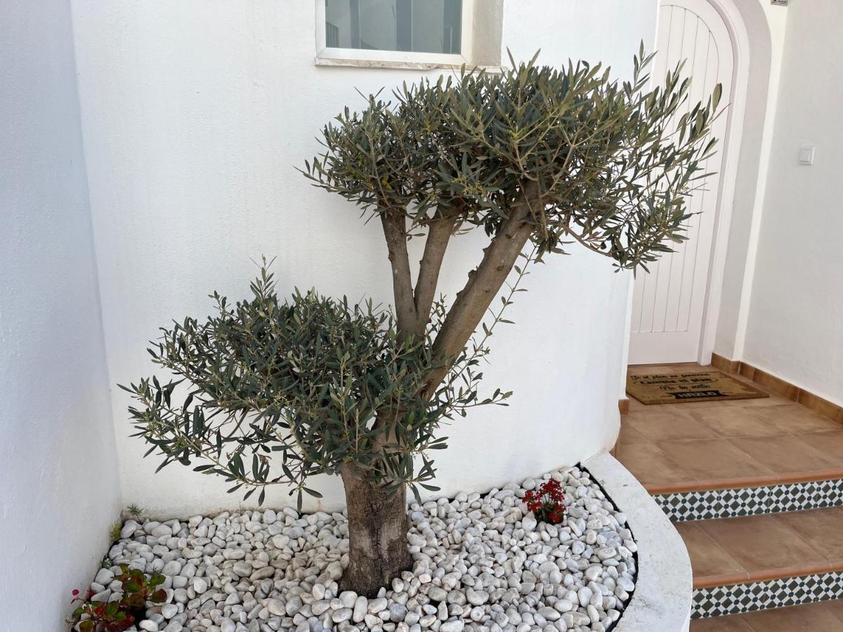 Casa Del Olivo Villa Almuñécar Екстериор снимка